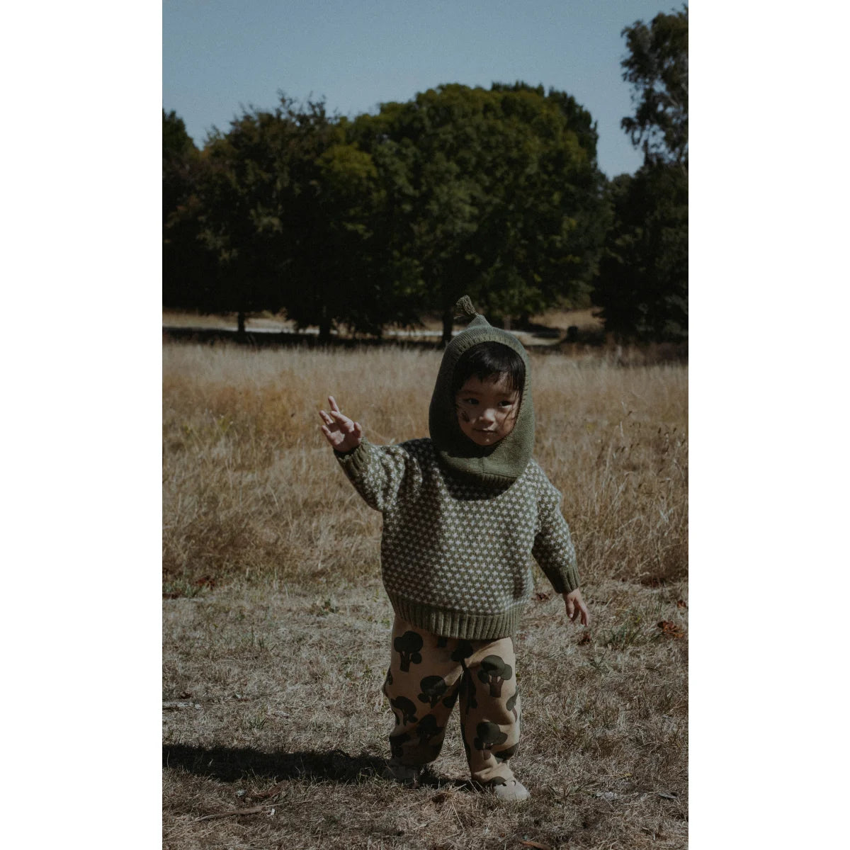 Wool Balaclava | Forest